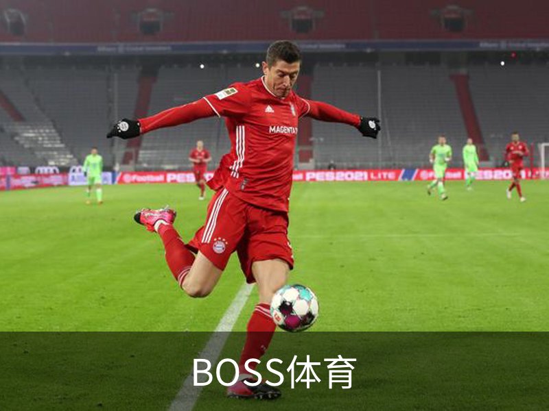 BOSS体育介绍